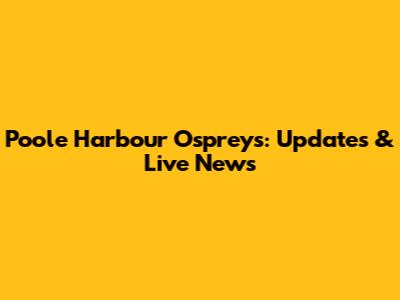 Poole Harbour Ospreys: Updates & Live News