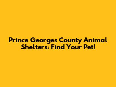 Prince George's County Animal Shelters: Find Your Pet!