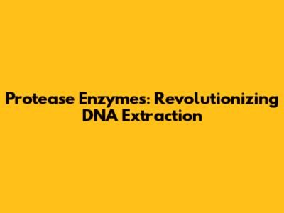 Protease Enzymes: Revolutionizing DNA Extraction