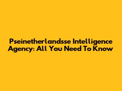 Pseinetherlandsse Intelligence Agency: All You Need To Know