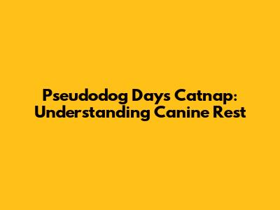 Pseudodog Days Catnap: Understanding Canine Rest