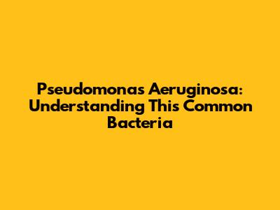 Pseudomonas Aeruginosa: Understanding This Common Bacteria