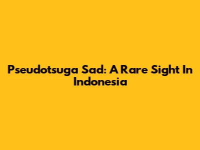Pseudotsuga Sad: A Rare Sight In Indonesia