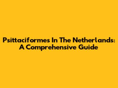 Psittaciformes In The Netherlands: A Comprehensive Guide