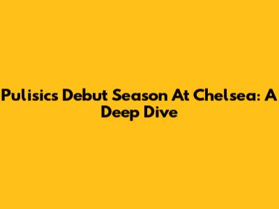 Pulisic's Debut Season At Chelsea: A Deep Dive