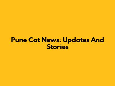 Pune Cat News: Updates And Stories