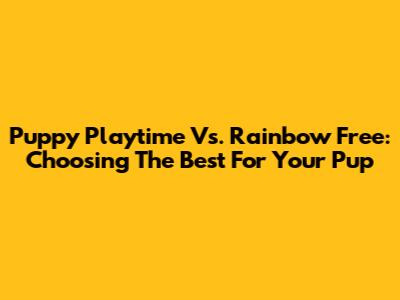 Puppy Playtime Vs. Rainbow Free: Choosing The Best For Your Pup