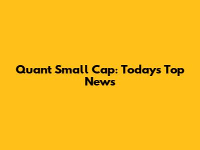 Quant Small Cap: Today's Top News