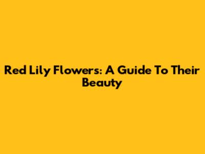 Red Lily Flowers: A Guide To Their Beauty