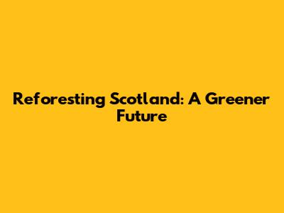 Reforesting Scotland: A Greener Future