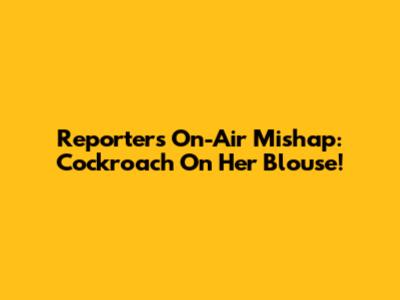 Reporter's On-Air Mishap: Cockroach On Her Blouse!
