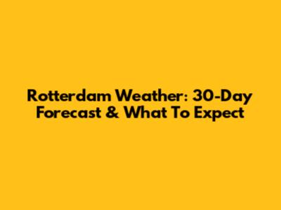 Rotterdam Weather: 30-Day Forecast & What To Expect