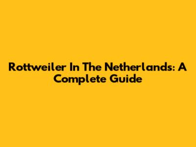 Rottweiler In The Netherlands: A Complete Guide