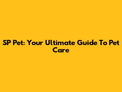 SP Pet: Your Ultimate Guide To Pet Care