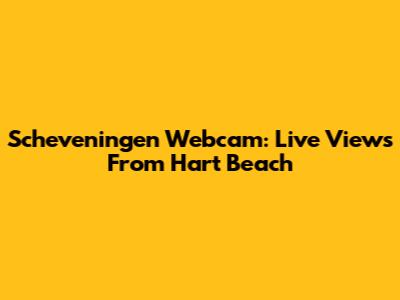 Scheveningen Webcam: Live Views From Hart Beach