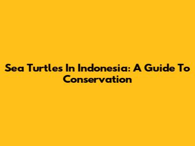 Sea Turtles In Indonesia: A Guide To Conservation