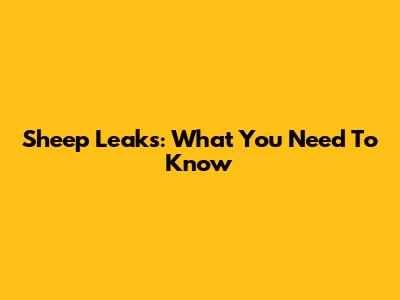 Sheep Leaks: What You Need To Know