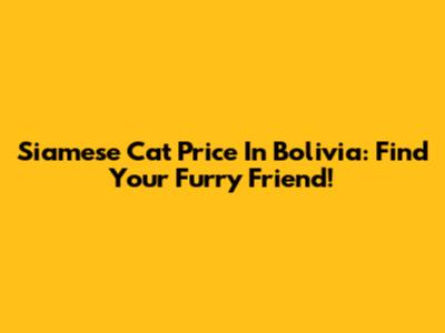 Siamese Cat Price In Bolivia: Find Your Furry Friend!