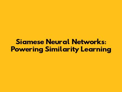 Siamese Neural Networks: Powering Similarity Learning