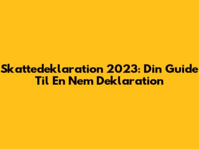 Skattedeklaration 2023: Din Guide Til En Nem Deklaration