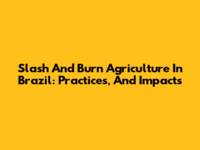 Slash And Burn Agriculture In Brazil: Practices, And Impacts
