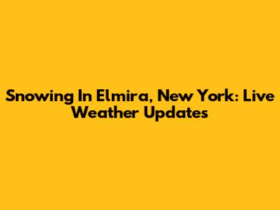 Snowing In Elmira, New York: Live Weather Updates