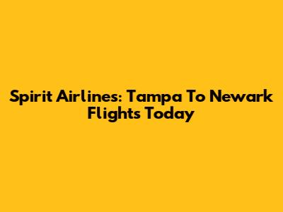 Spirit Airlines: Tampa To Newark Flights Today