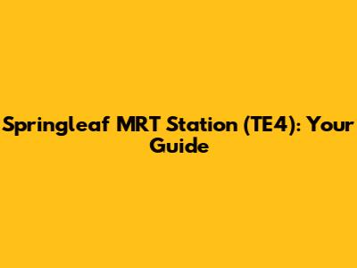 Springleaf MRT Station (TE4): Your Guide