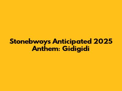 Stonebwoy's Anticipated 2025 Anthem: Gidigidi