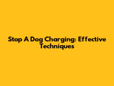 Stop A Dog Charging: Effective Techniques