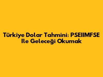 Türkiye Dolar Tahmini: PSEIIMFSE Ile Geleceği Okumak