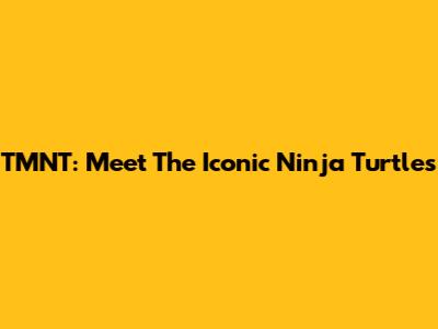 TMNT: Meet The Iconic Ninja Turtles