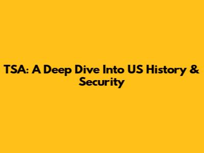 TSA: A Deep Dive Into US History & Security