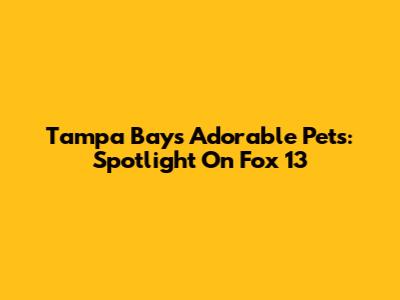 Tampa Bay's Adorable Pets: Spotlight On Fox 13