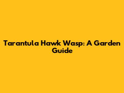 Tarantula Hawk Wasp: A Garden Guide