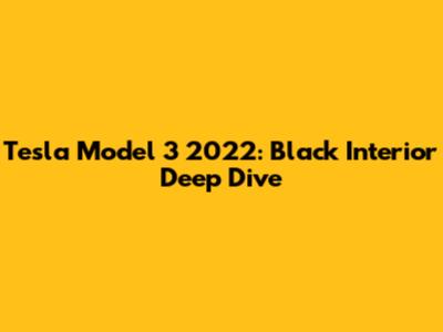 Tesla Model 3 2022: Black Interior Deep Dive