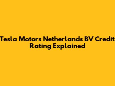 Tesla Motors Netherlands BV Credit Rating Explained