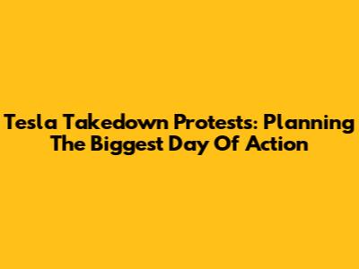Tesla Takedown Protests: Planning The Biggest Day Of Action