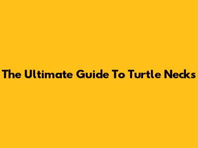 The Ultimate Guide To Turtle Necks