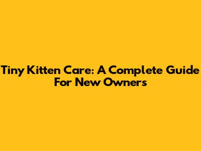 Tiny Kitten Care: A Complete Guide For New Owners