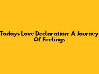 Today's Love Declaration: A Journey Of Feelings