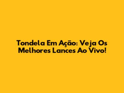 Tondela Em Ação: Veja Os Melhores Lances Ao Vivo!