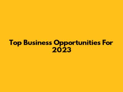 Top Business Opportunities For 2023