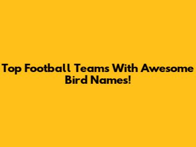 Top Football Teams With Awesome Bird Names!