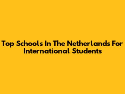 Top Schools In The Netherlands For International Students