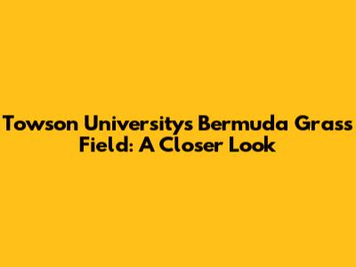 Towson University's Bermuda Grass Field: A Closer Look