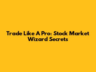 Trade Like A Pro: Stock Market Wizard Secrets