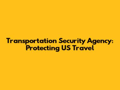 Transportation Security Agency: Protecting US Travel