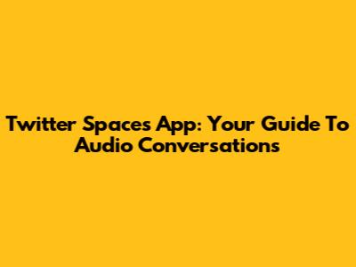 Twitter Spaces App: Your Guide To Audio Conversations
