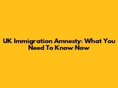 UK Immigration Amnesty: What You Need To Know Now